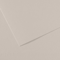 Бумага для пастели CANSON Mi-Teintes №120 Серый жемчужный 160 г/м2 50х65 см