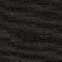 Бумага для пастели "Палаццо" Черный Ground 160 г/м2 21х29,7 см
