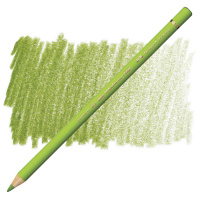 Карандаш художественный Faber-Castell "Polychromos", №170 майская зелень