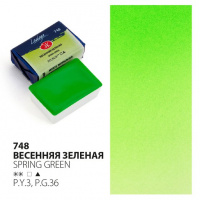 Акварель Ладога, Весенняя зеленая, кювета 2,5 мл
