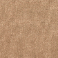 Бумага для пастели "Палаццо" Бежевый Latte 160 г/м2 21х29,7 см